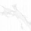 marble polished floor tile and wall tile dist. by ICASA
