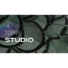 Parkay Floors XPR Studio 7" x 60" Vinyl Plank